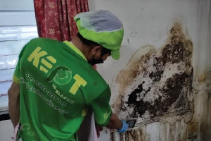 งานเคลียร์บ้านรกและจัดระเบียบพื้นที่โดย KEPT